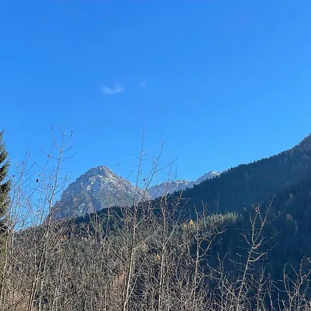 Daire Nido Delle Dolomiti Santo Stefano Di Cadore